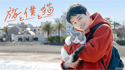 旅と僕と猫